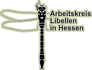 Logo Arbeitskreis Libellen Hessen